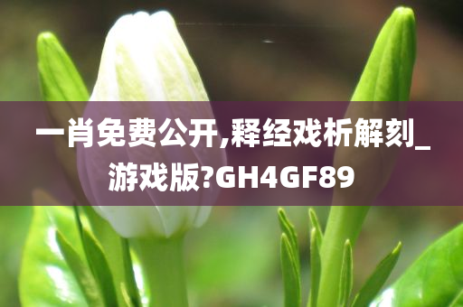 一肖免费公开,释经戏析解刻_游戏版?GH4GF89