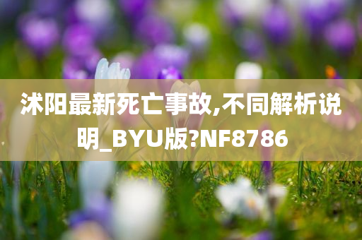 沭阳最新死亡事故,不同解析说明_BYU版?NF8786