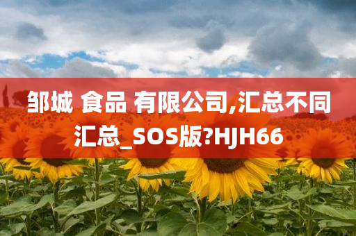 邹城 食品 有限公司,汇总不同汇总_SOS版?HJH66