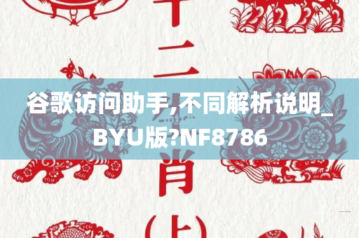 谷歌访问助手,不同解析说明_BYU版?NF8786