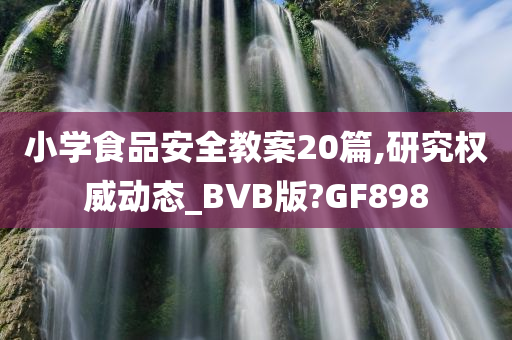 小学食品安全教案20篇,研究权威动态_BVB版?GF898