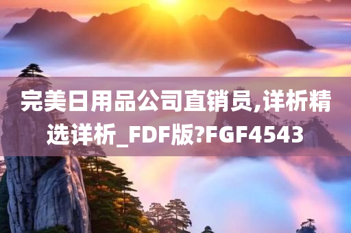 完美日用品公司直销员,详析精选详析_FDF版?FGF4543