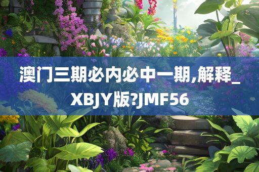 澳门三期必内必中一期,解释_XBJY版?JMF56