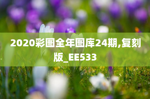 2020彩图全年图库24期,复刻版_EE533