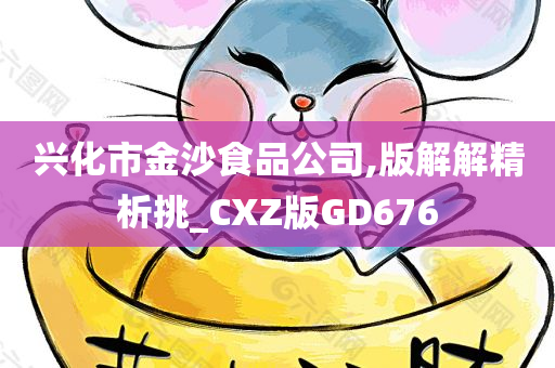 兴化市金沙食品公司,版解解精析挑_CXZ版GD676