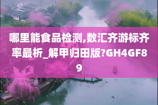 哪里能食品检测,数汇齐游标齐率最析_解甲归田版?GH4GF89