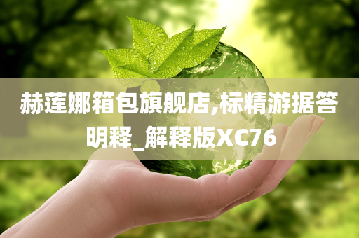 赫莲娜箱包旗舰店,标精游据答明释_解释版XC76