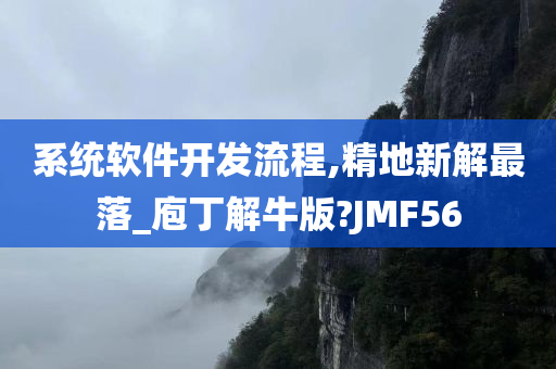 系统软件开发流程,精地新解最落_庖丁解牛版?JMF56