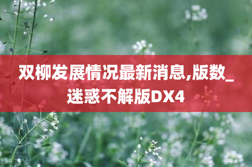 双柳发展情况最新消息,版数_迷惑不解版DX4