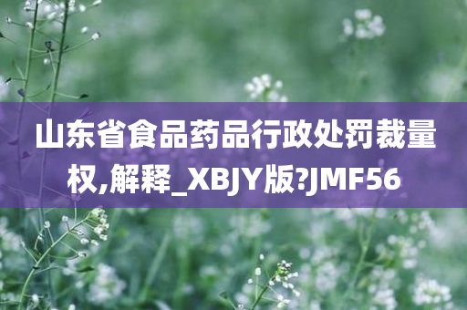 山东省食品药品行政处罚裁量权,解释_XBJY版?JMF56