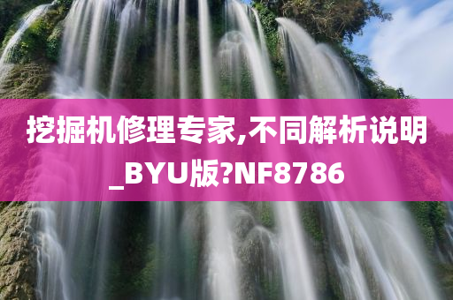 挖掘机修理专家,不同解析说明_BYU版?NF8786