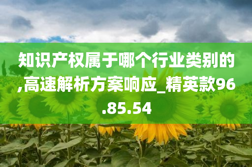 知识产权属于哪个行业类别的,高速解析方案响应_精英款96.85.54