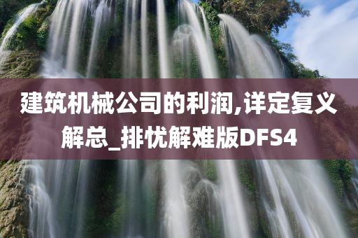 建筑机械公司的利润,详定复义解总_排忧解难版DFS4