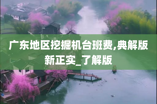 广东地区挖掘机台班费,典解版新正实_了解版