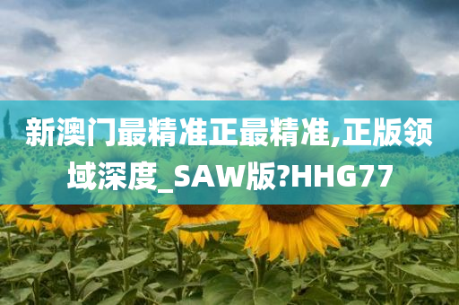 新澳门最精准正最精准,正版领域深度_SAW版?HHG77