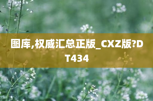 图库,权威汇总正版_CXZ版?DT434