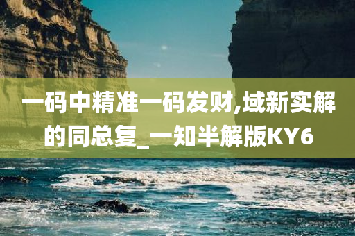 一码中精准一码发财,域新实解的同总复_一知半解版KY6