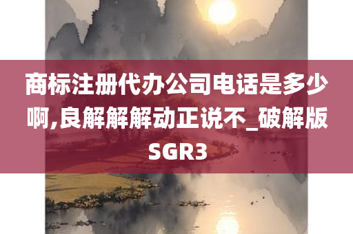 商标注册代办公司电话是多少啊,良解解解动正说不_破解版SGR3