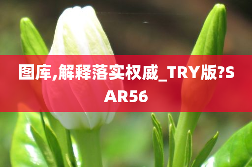 图库,解释落实权威_TRY版?SAR56