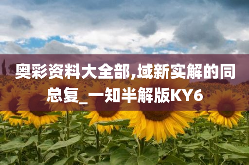 奥彩资料大全部,域新实解的同总复_一知半解版KY6