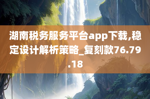 湖南税务服务平台app下载,稳定设计解析策略_复刻款76.79.18