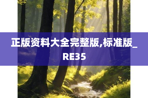 正版资料大全完整版,标准版_RE35