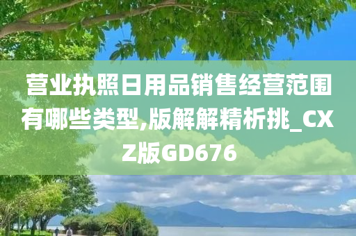 营业执照日用品销售经营范围有哪些类型,版解解精析挑_CXZ版GD676