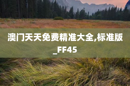 澳门天天免费精准大全,标准版_FF45