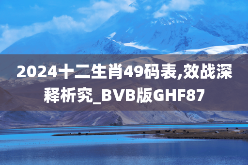 2024十二生肖49码表,效战深释析究_BVB版GHF87