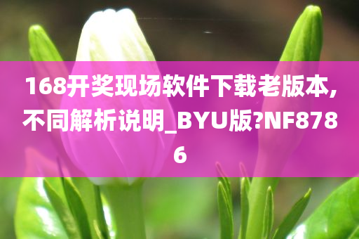 168开奖现场软件下载老版本,不同解析说明_BYU版?NF8786