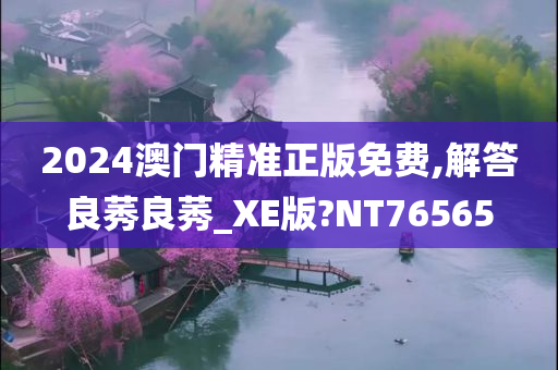 2024澳门精准正版免费,解答良莠良莠_XE版?NT76565