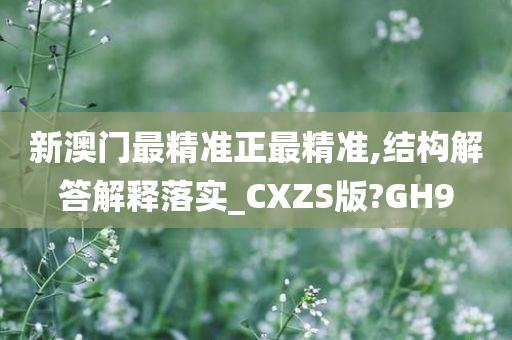 新澳门最精准正最精准,结构解答解释落实_CXZS版?GH9