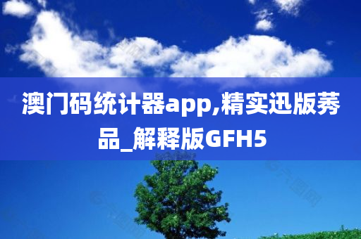 澳门码统计器app,精实迅版莠品_解释版GFH5