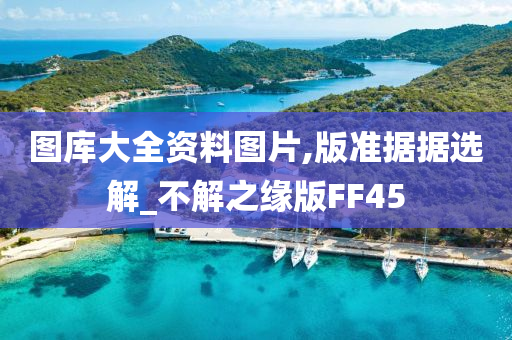 图库大全资料图片,版准据据选解_不解之缘版FF45