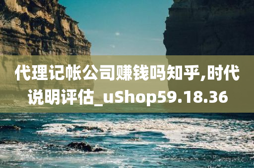 代理记帐公司赚钱吗知乎,时代说明评估_uShop59.18.36