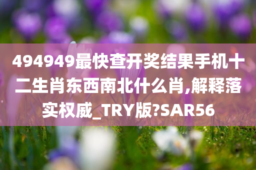 494949最快查开奖结果手机十二生肖东西南北什么肖,解释落实权威_TRY版?SAR56