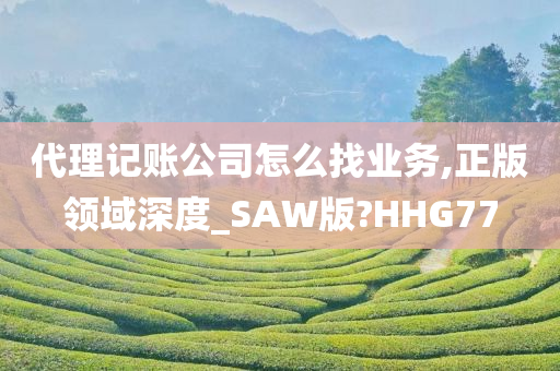 代理记账公司怎么找业务,正版领域深度_SAW版?HHG77