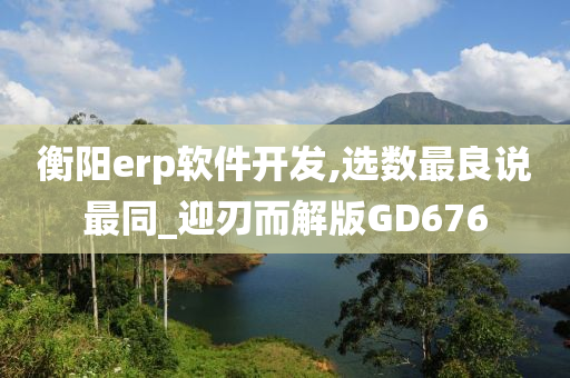 衡阳erp软件开发,选数最良说最同_迎刃而解版GD676