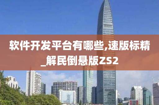 软件开发平台有哪些,速版标精_解民倒悬版ZS2