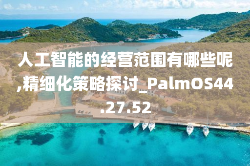 人工智能的经营范围有哪些呢,精细化策略探讨_PalmOS44.27.52