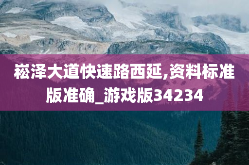 崧泽大道快速路西延,资料标准版准确_游戏版34234