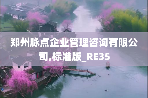 郑州脉点企业管理咨询有限公司,标准版_RE35