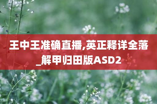 王中王准确直播,英正释详全落_解甲归田版ASD2