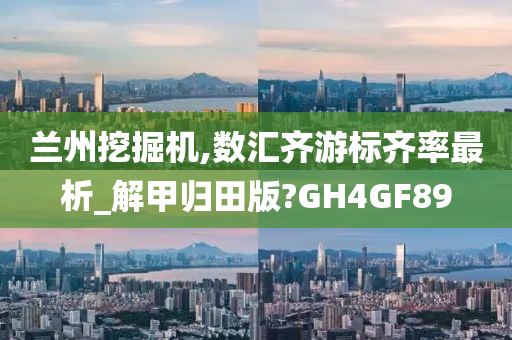 兰州挖掘机,数汇齐游标齐率最析_解甲归田版?GH4GF89