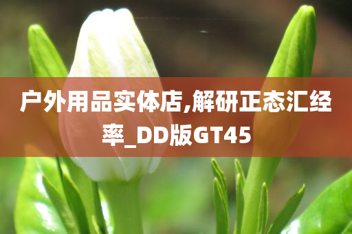 户外用品实体店,解研正态汇经率_DD版GT45