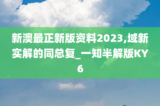 新澳最正新版资料2023,域新实解的同总复_一知半解版KY6