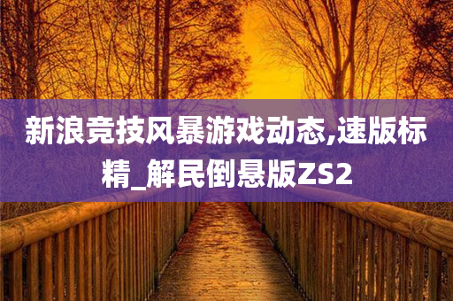 新浪竞技风暴游戏动态,速版标精_解民倒悬版ZS2