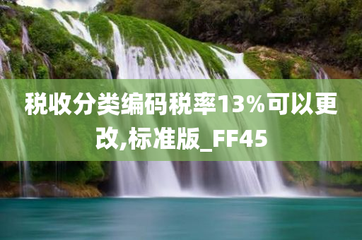 税收分类编码税率13%可以更改,标准版_FF45