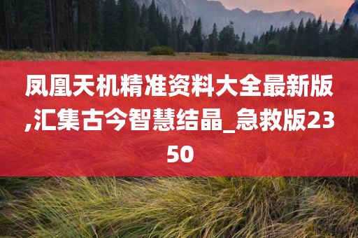 凤凰天机精准资料大全最新版,汇集古今智慧结晶_急救版2350