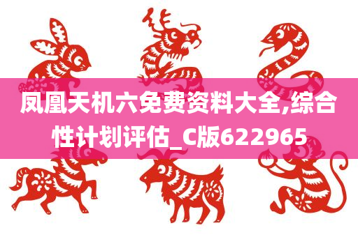 凤凰天机六免费资料大全,综合性计划评估_C版622965